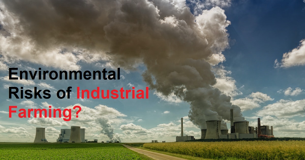What are the Environmental Risks of Industrial Farming?