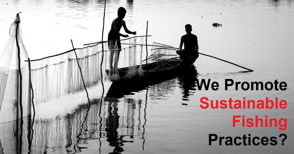 We Promote Sustainable Fishing Practices?