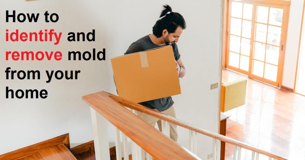 How to identify and remove mold from your home